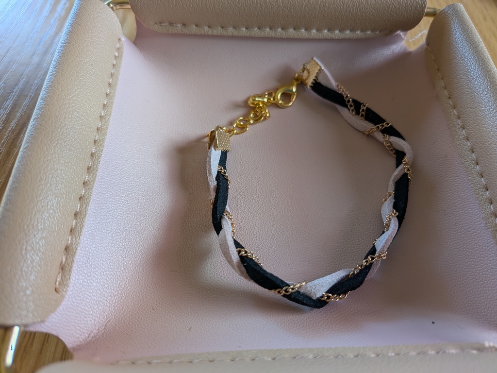 運命の奴隷(ペッシ)