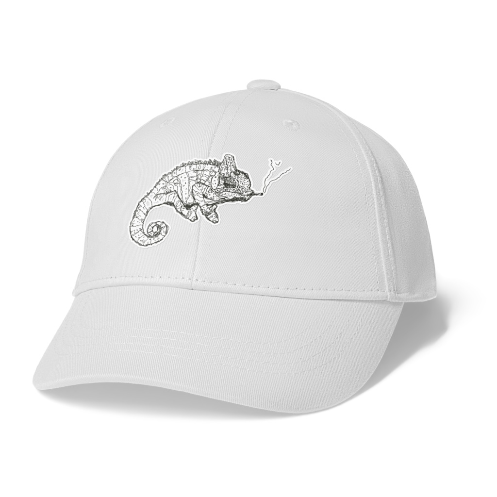 カメレオンキャップ