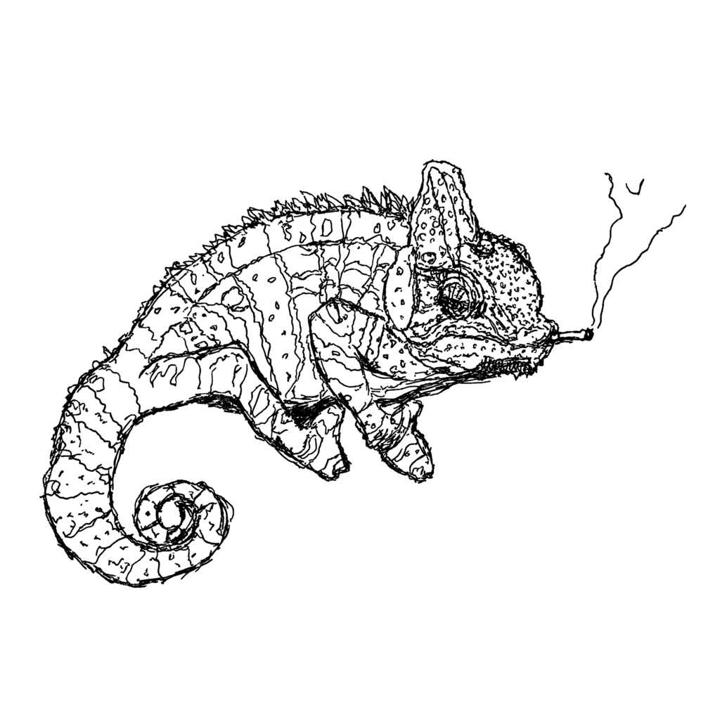 カメレオンパーカー(プルオーバー)