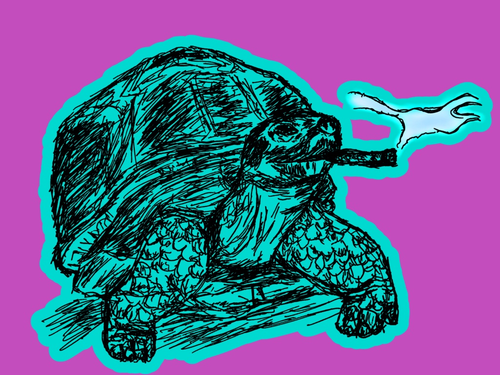 リクガメパーカー(プルオーバー)