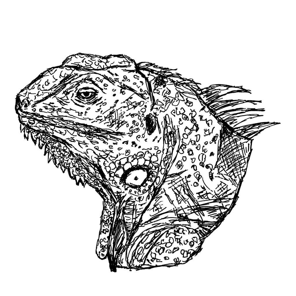 イグアナTシャツ