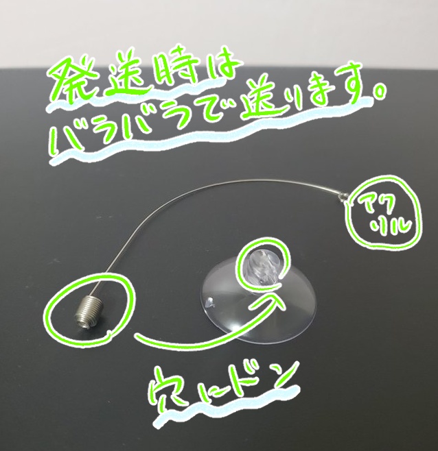 🐾にゃん五&にゃん夏ランダムくじ🐾