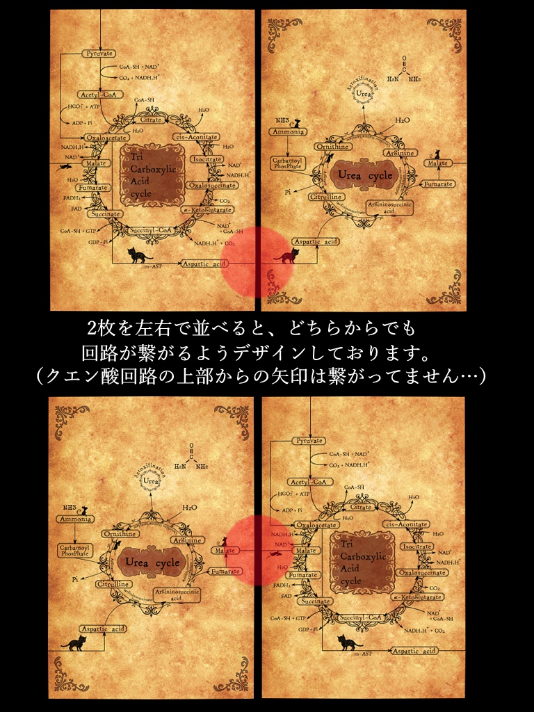 アンティーク風生化学ポスカ(2枚組)