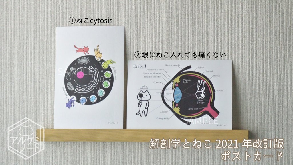 解剖学とねこポストカード 【2021年改訂版】