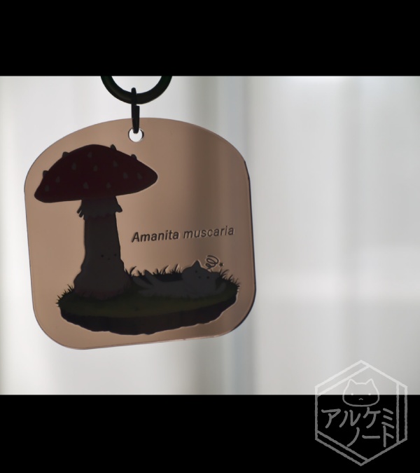 収穫してはいけないキノコアクキー