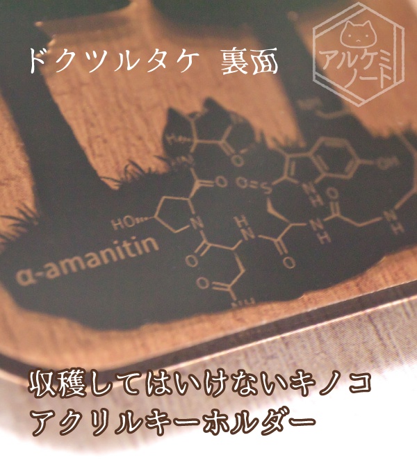 収穫してはいけないキノコアクキー