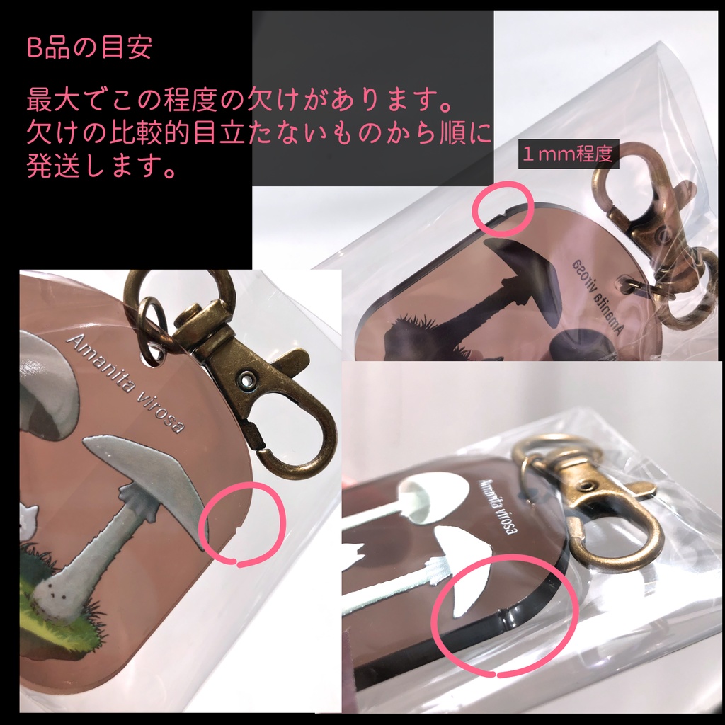 収穫してはいけないキノコアクキー