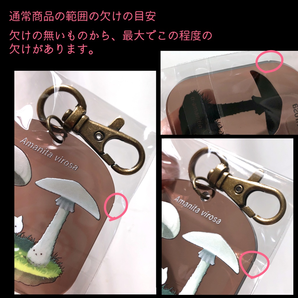 収穫してはいけないキノコアクキー