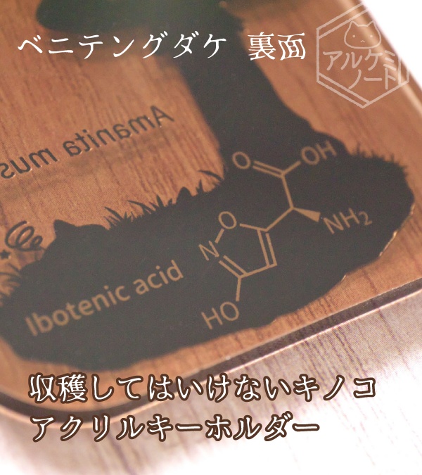 収穫してはいけないキノコアクキー