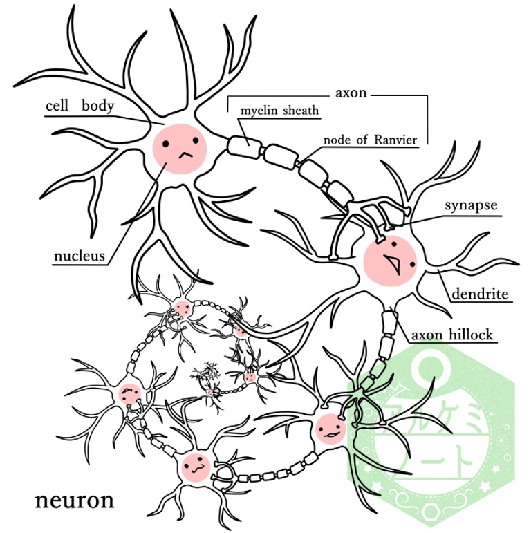 ニューロンちゃんTシャツ(撮影時1回使用・値引有)