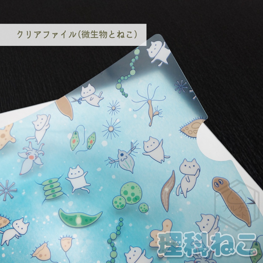 A4クリアファイル(微生物とねこ)