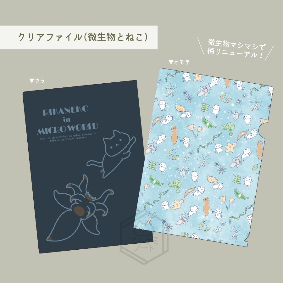 A4クリアファイル(微生物とねこ)