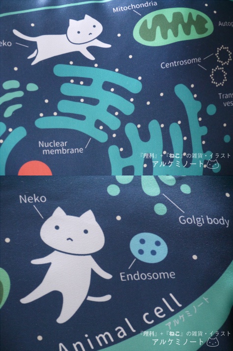 動物細胞クッション【送料込】