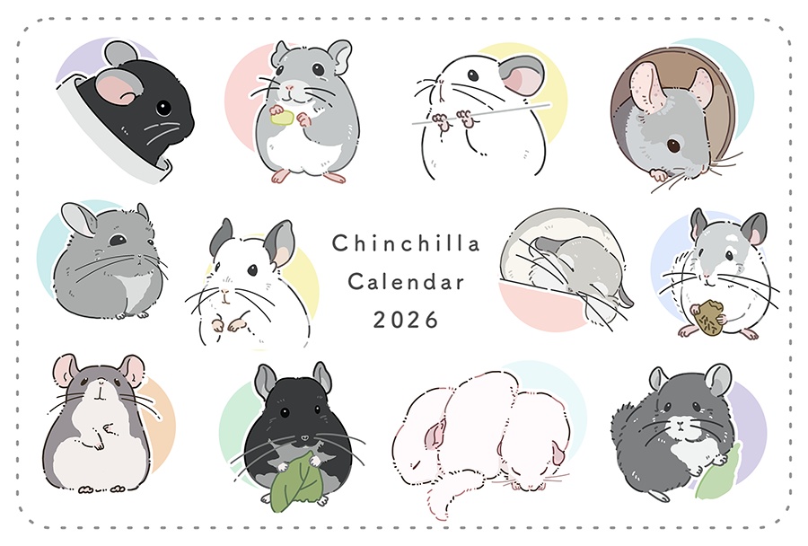 【数量限定】チンチラカレンダー+書き下ろしアイコンセット