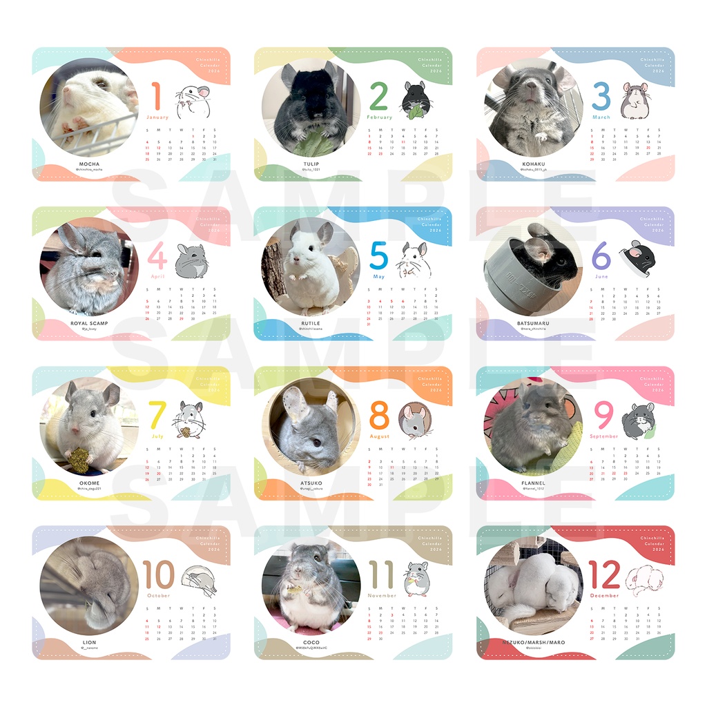 【数量限定】チンチラカレンダー+書き下ろしアイコンセット