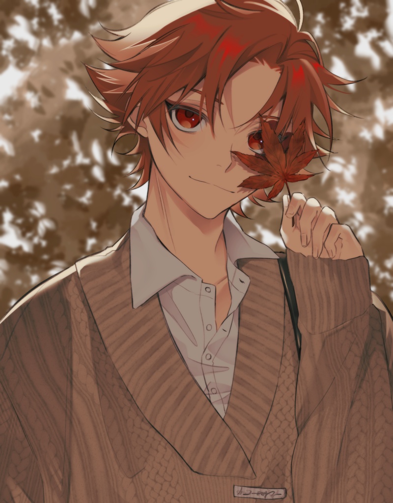 topako illustration summary book vol1