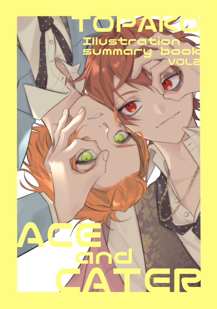 topako illustration summary book vol2 +チェキ