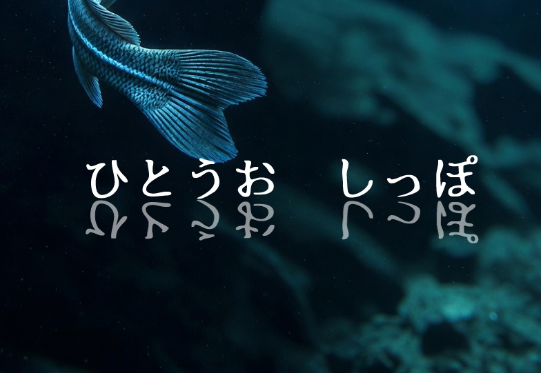 【CoCTRPG】ホラーシナリオ集 海辺の漂着物【SPLL:E189299】