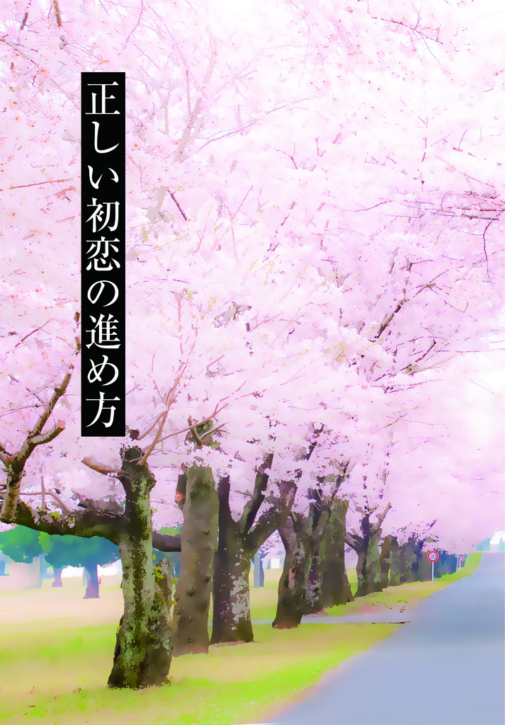 正しい初恋の進め方