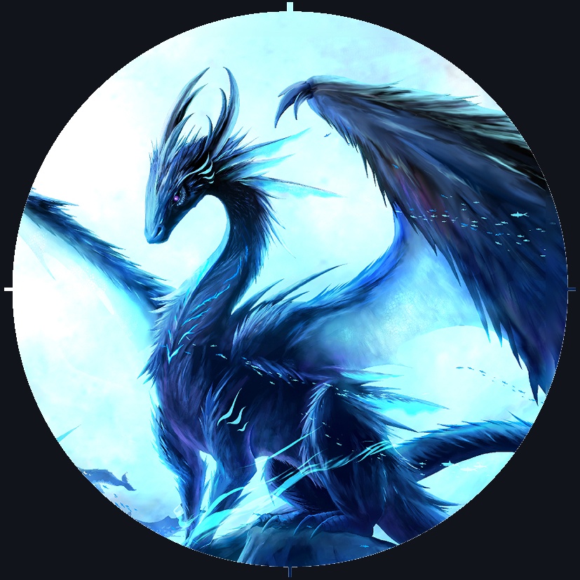 缶バッジ　ナイタードラゴン