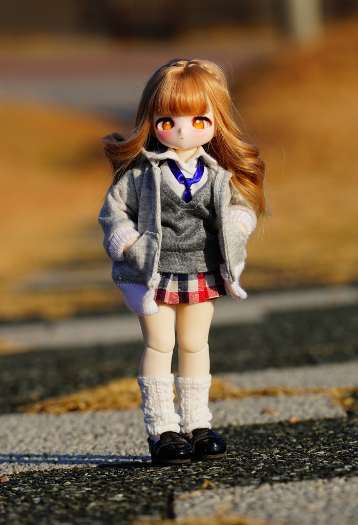 TinyFox1/6用制服セット