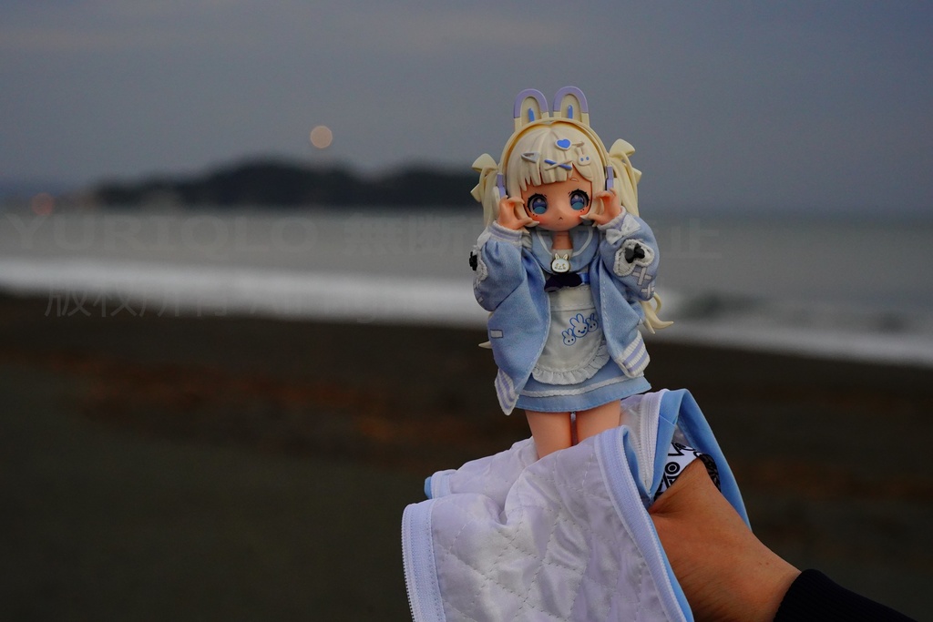 ミニドールおでかけポーチ