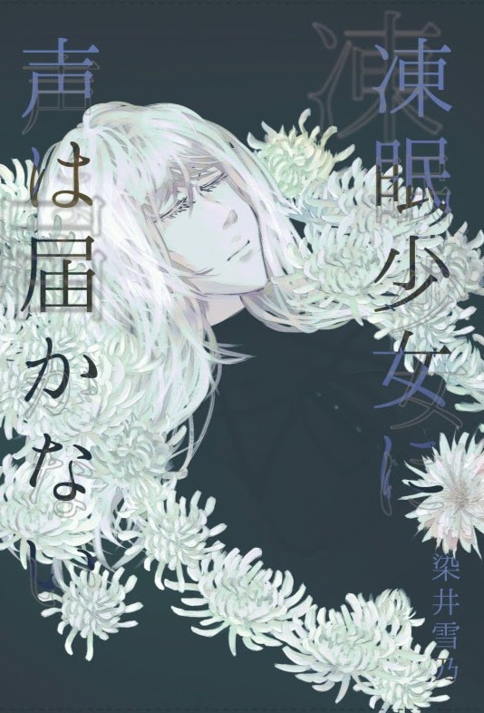 凍眠少女に声は届かない