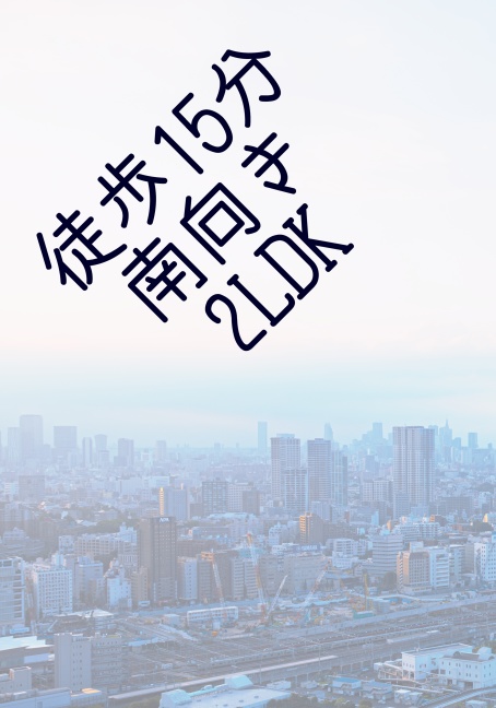 徒歩15分南向き2LDK
