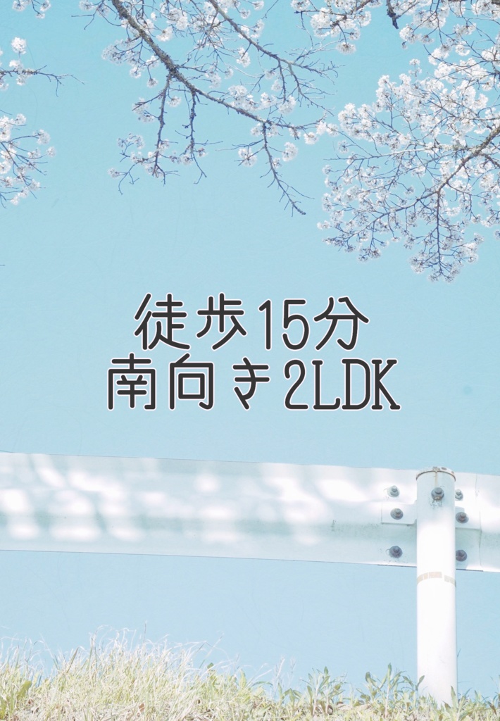 徒歩15分南向き2LDK