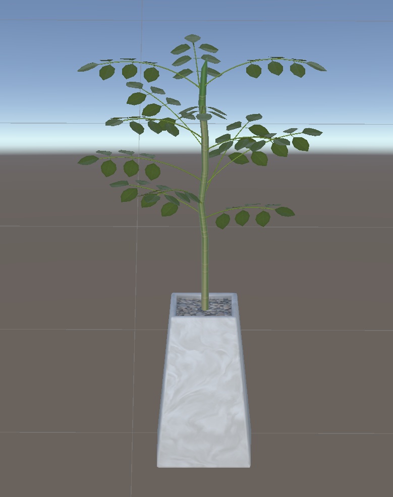 大きめ?観葉植物8種