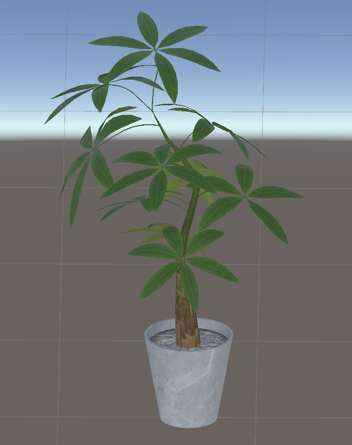 大きめ?観葉植物8種