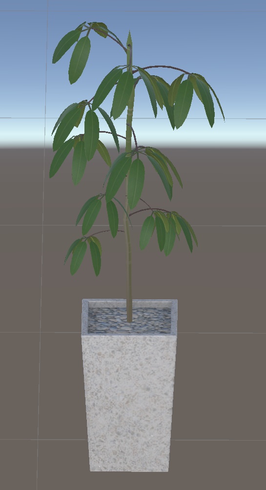 大きめ?観葉植物8種