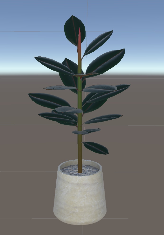 大きめ?観葉植物8種