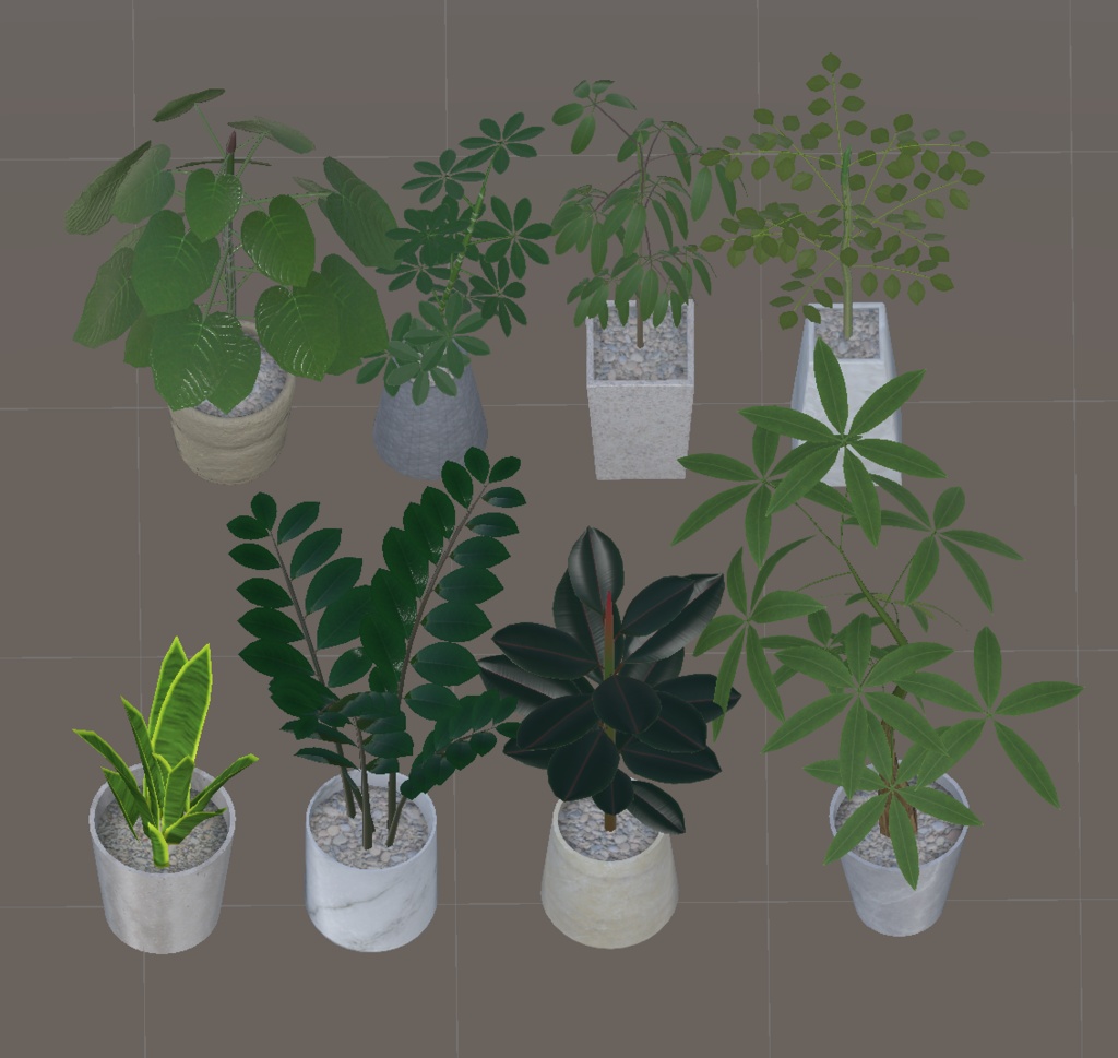 大きめ?観葉植物8種