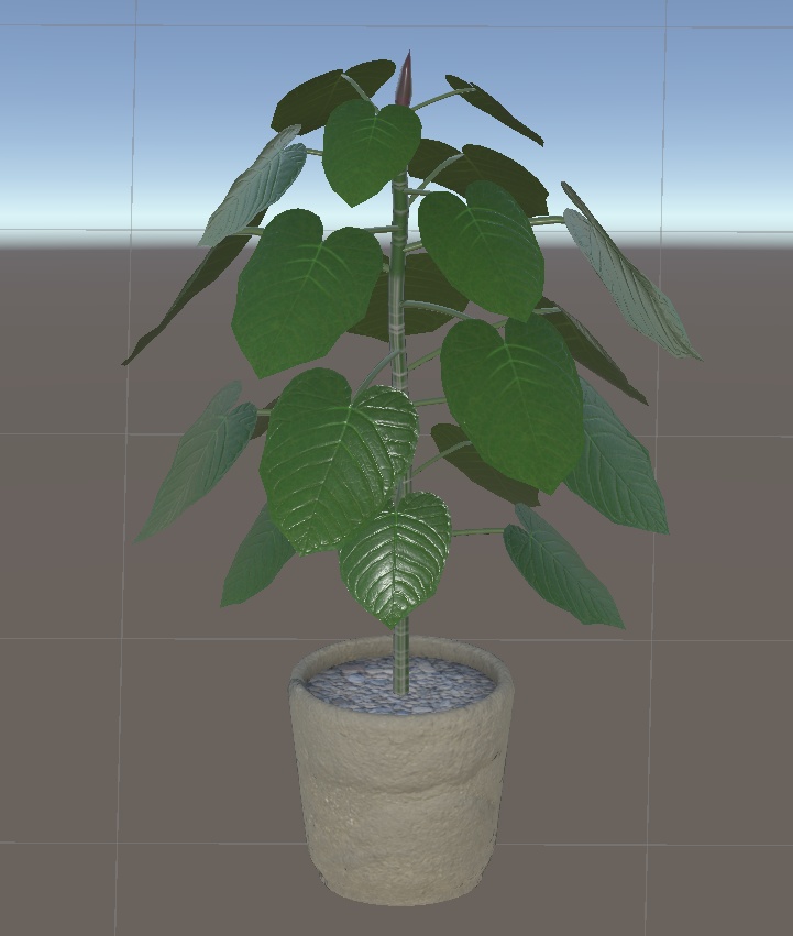 大きめ?観葉植物8種