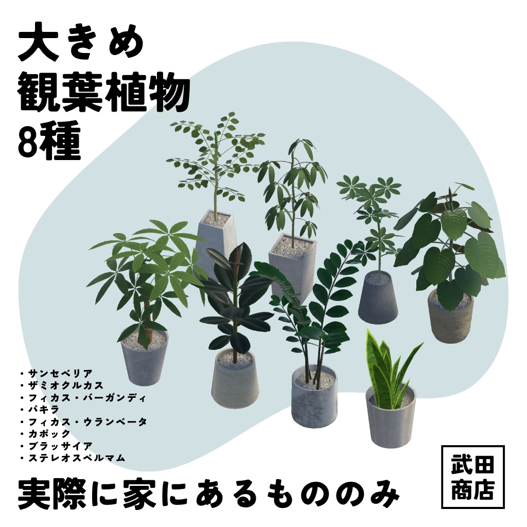 大きめ?観葉植物8種