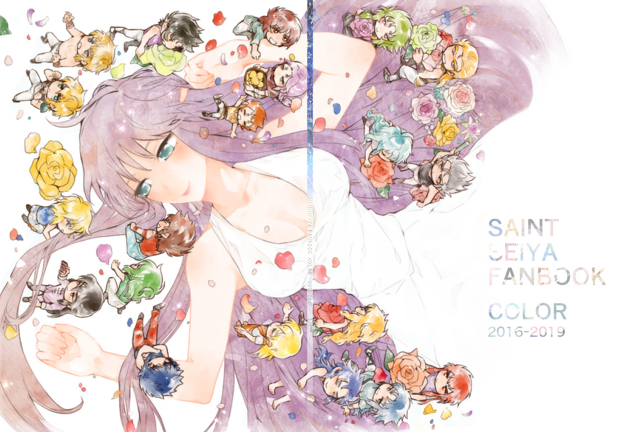 SAINT SEIYA FANBOOK CO...