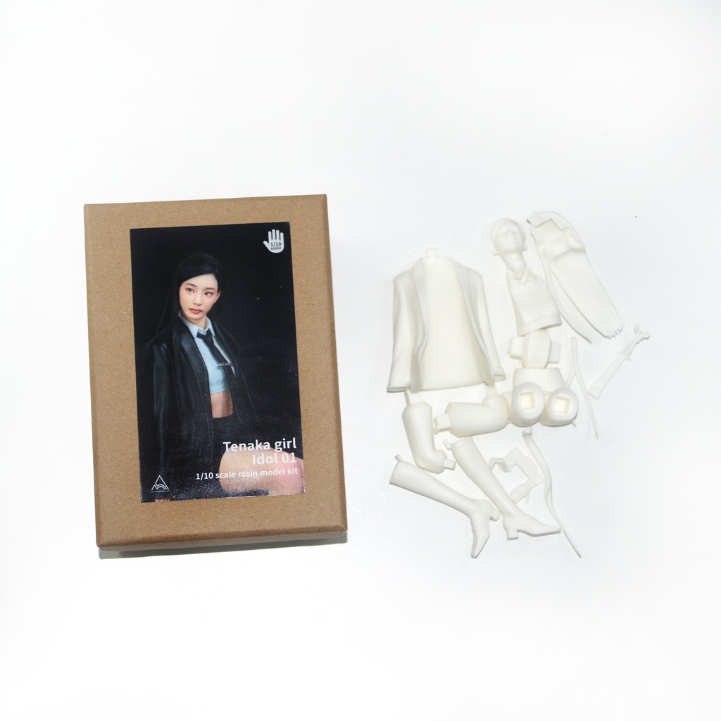 1/10 Tenaka Girl IDOL 01 Resin kit figure