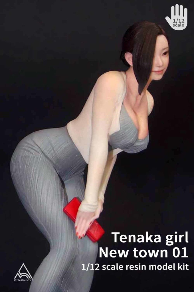 1/12 Tenaka Girl New town 01 Resin kit figure
