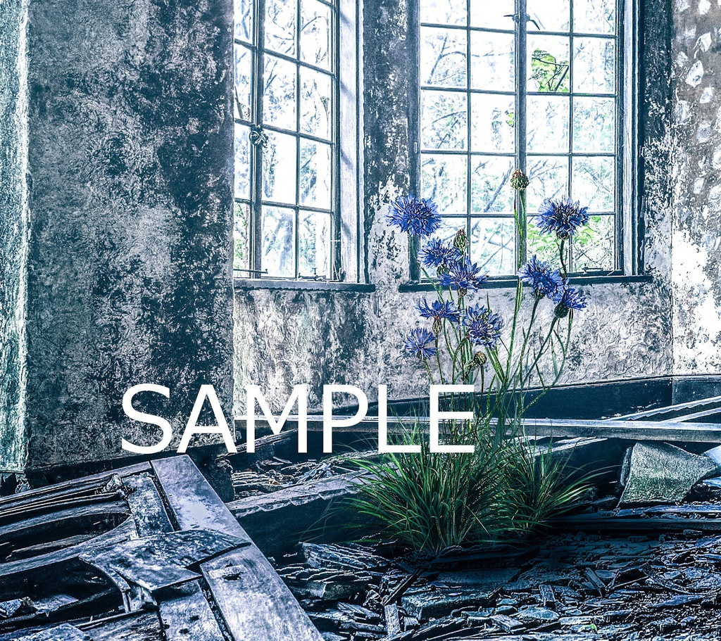 額装写真 廃墟の女王-朝-