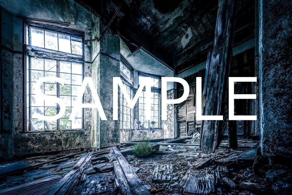 額装写真 廃墟の女王-朝-