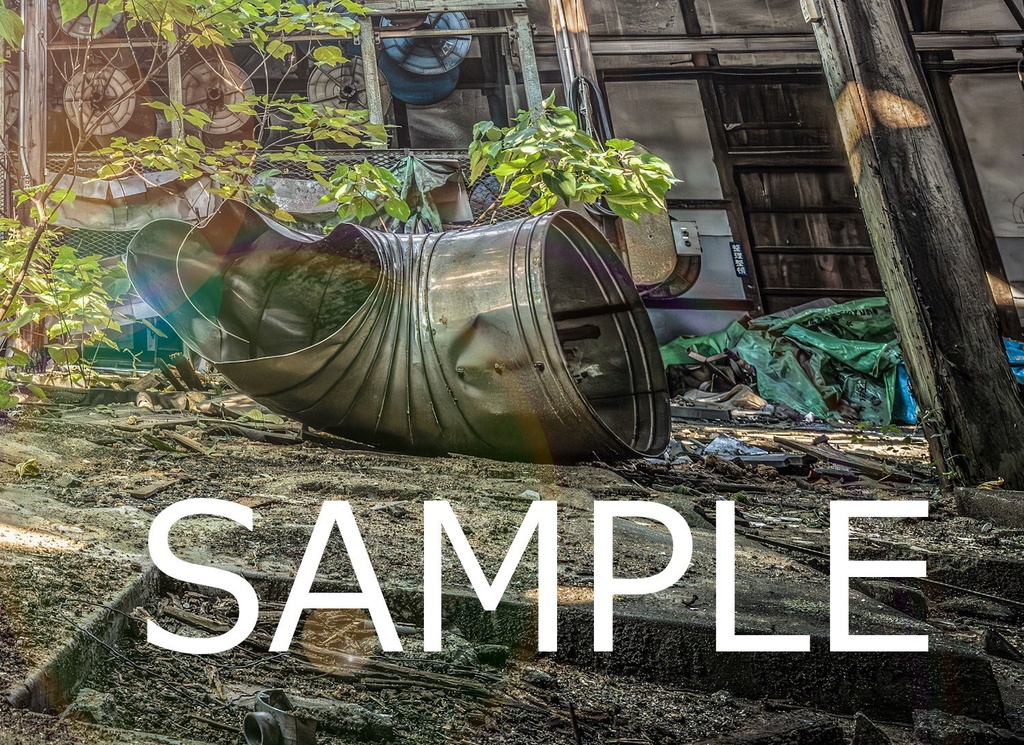 額装写真 廃工場の夏-大樹-