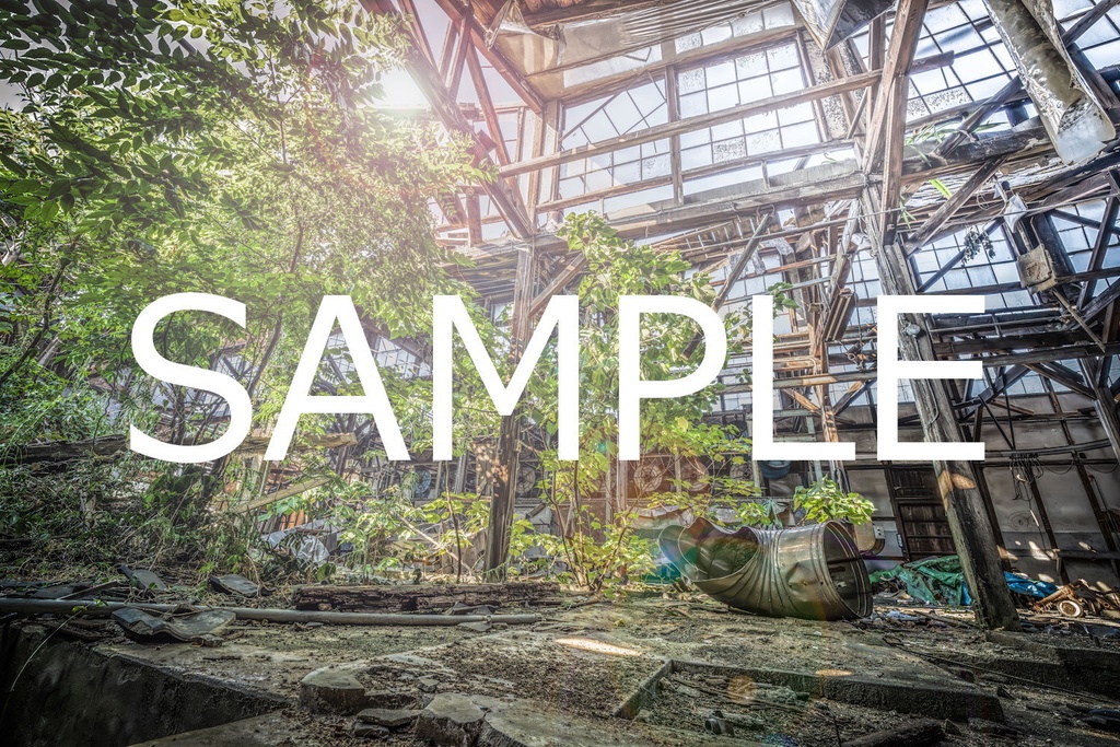 額装写真 廃工場の夏-大樹-