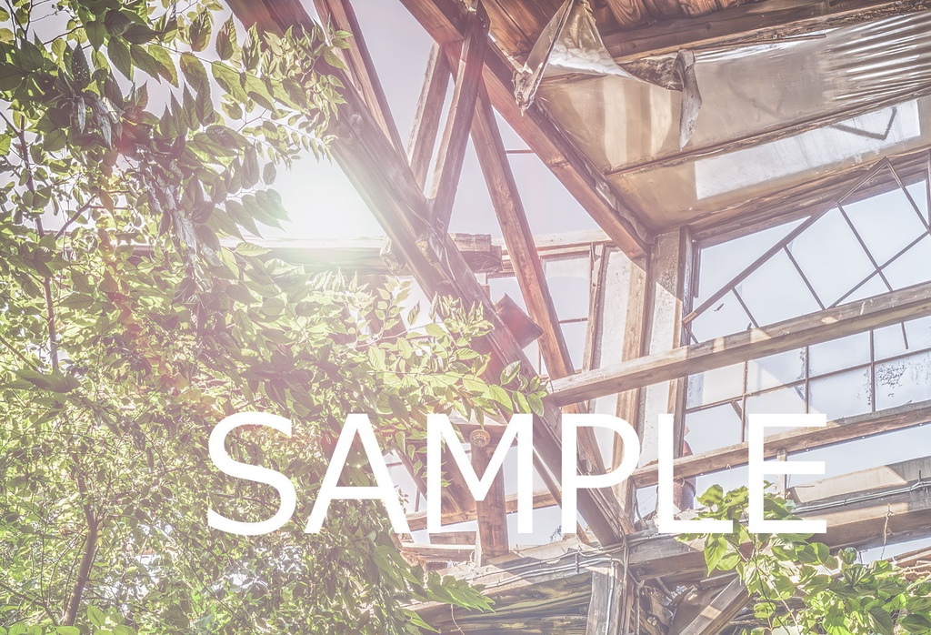 額装写真 廃工場の夏-大樹-