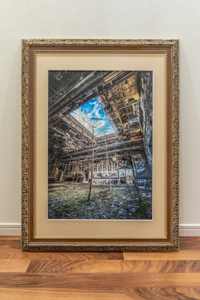 額装写真　式場跡の夫婦（めおと）の樹