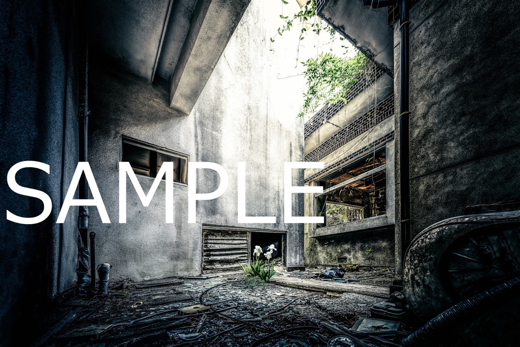 額装写真 空にあこがれて