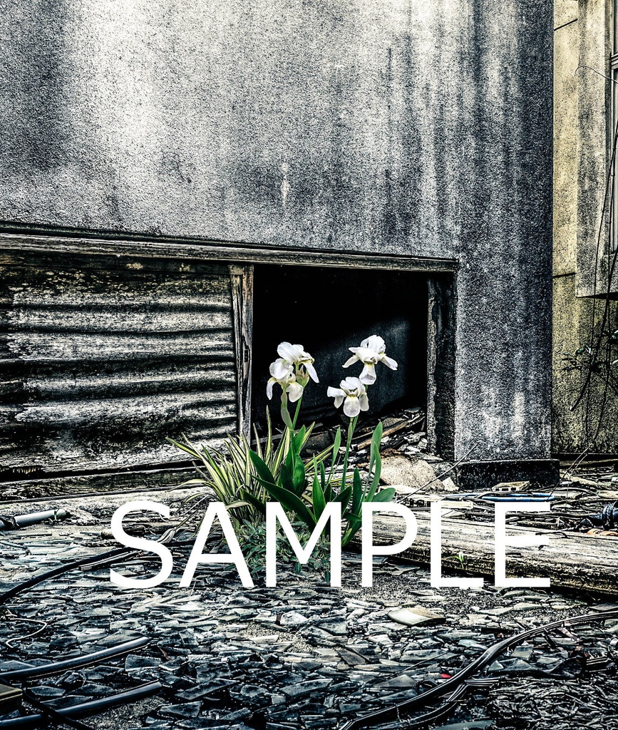 額装写真 空にあこがれて