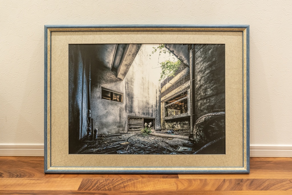 額装写真 空にあこがれて