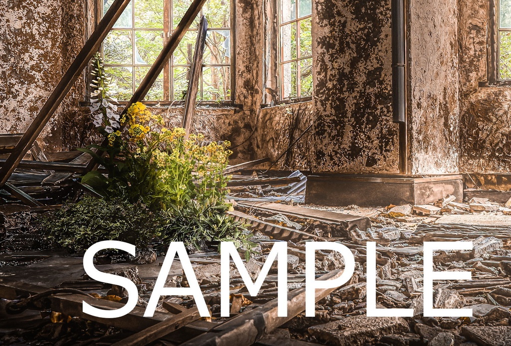 額装写真 廃墟の女王-午後-