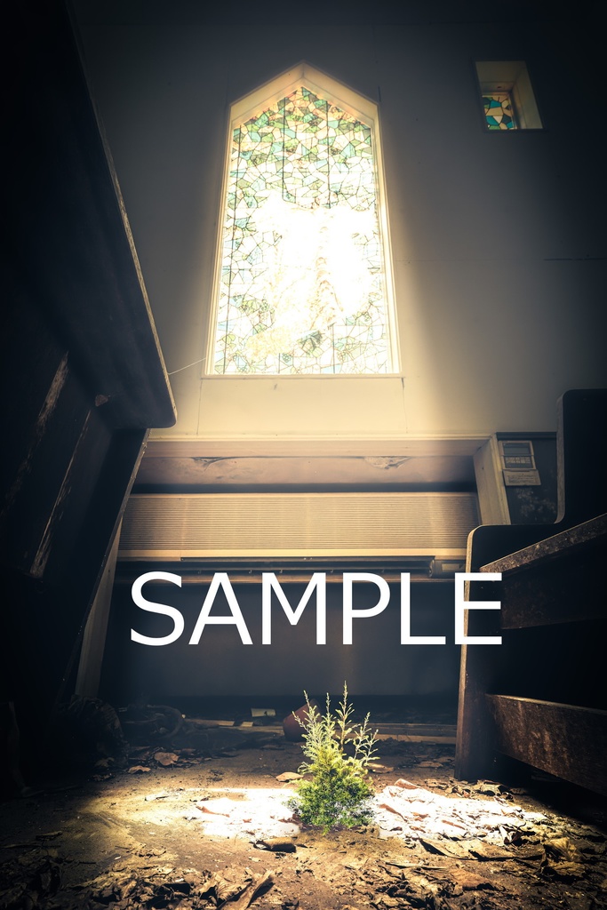 額装写真 聖なる光